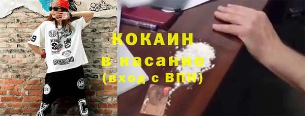 ALPHA PVP Богородицк