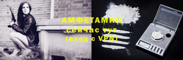 гидра Бородино