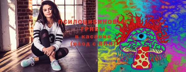 ALPHA PVP Богородицк