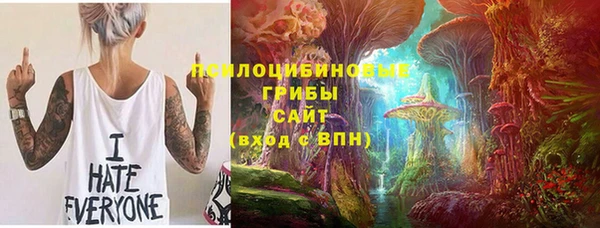 тгк Богданович