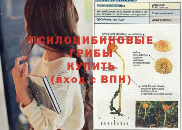 мяу мяу кристалл Осинники