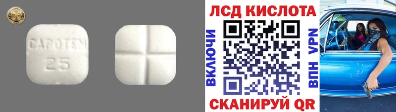 где найти наркотики  Кимры  LSD-25 экстази ecstasy 