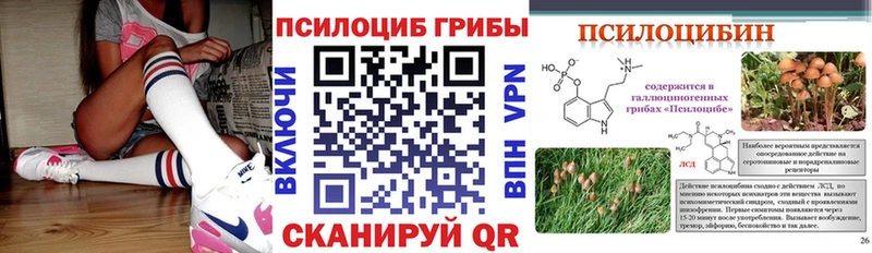 Псилоцибиновые грибы мухоморы  закладка  Кимры 